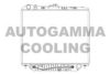 OPEL 1300141 Radiator, engine cooling